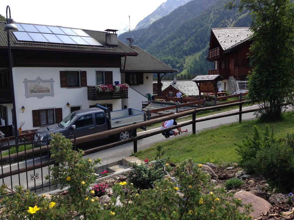 Chalet Bucaneve Santa Caterina di Valfurva Exterior foto